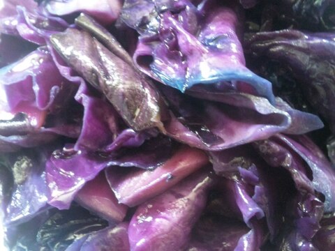 紫きゃべつの塩炒め